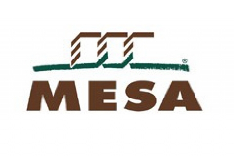 Mesa krizde yurtdışı projelerine asıldı