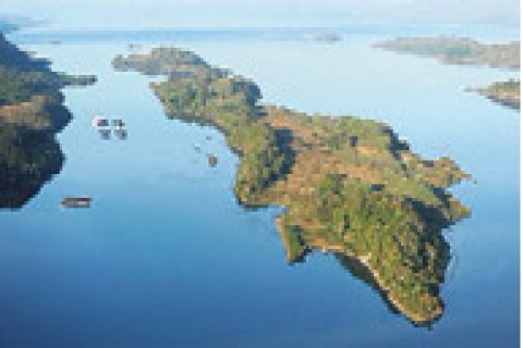  İskoçya Kral Adası, 5 milyon dolara satışa çıkarıldı!