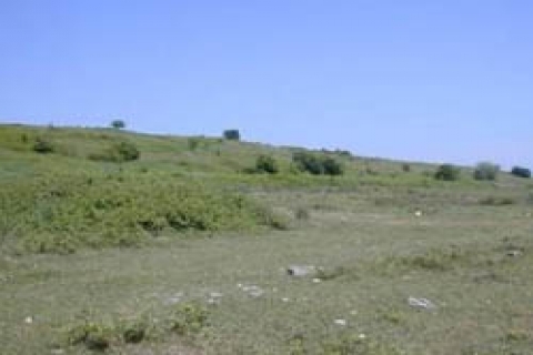 Kartepe Belediyesi taşınmaz mal satacak