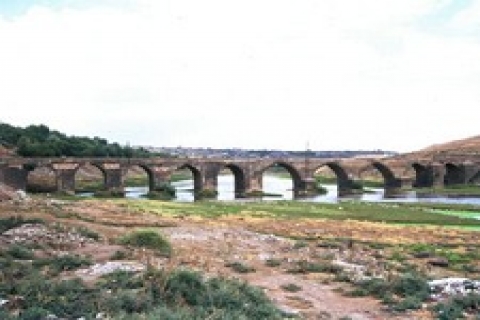 Diyarbakır Vakıflar 'dan kiralık 2 tarla!