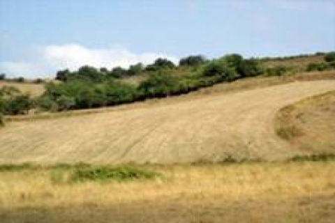 Milli Emlak'tan Konya'da satılık arsa!