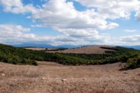 TOKİ'ye arazi vergisi muafiyeti geliyor