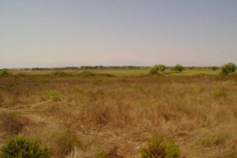  İzmir Menderes'te 1.2 milyon TL'ye satılık 3 tarla!