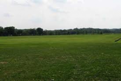  İzmir'de icradan 1.2 milyon TL'ye satılık tarla!