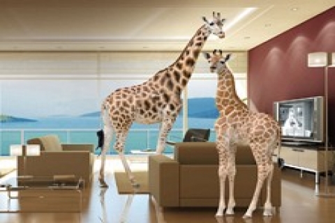 DAP Yapı konutları 3.5 metre tavan yükseklikliğinde!