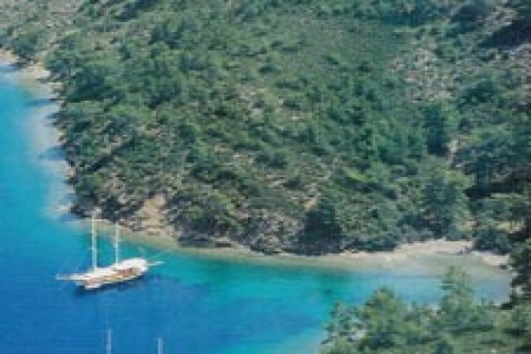 Muğla'da icradan 852 bin TL'ye satılık tarla!