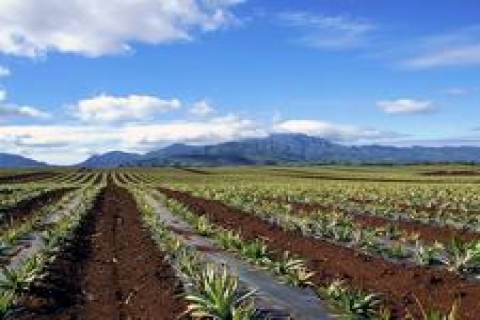 Vakıflar'dan Balıkesir'de 55 kiralık gayrimenkul