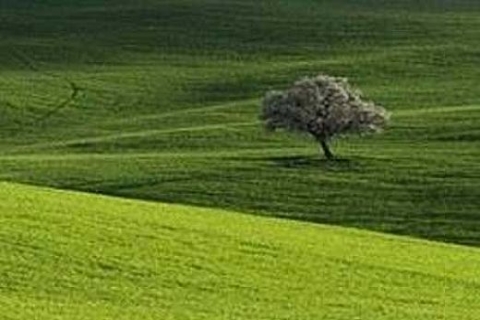 İhlas Holding, ÖİB'nin Küçükçekmece'deki arsa satış ihalesine katılacak!