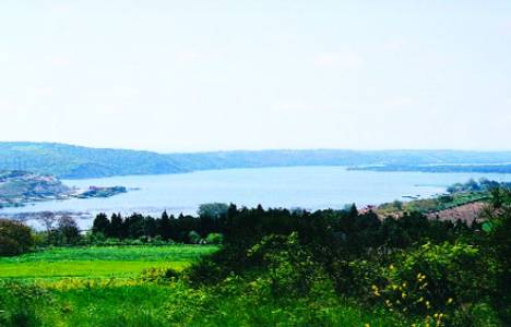 Terkos Gölü'nde 20 yıllık ağaçlandırma çalışmaları meyvesini verdi!