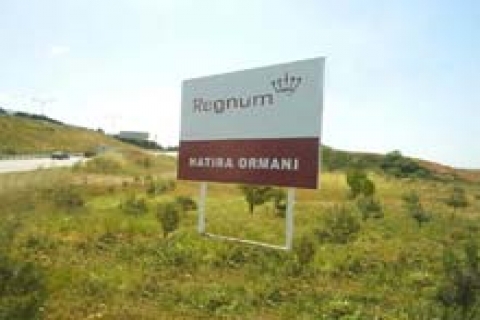 Astrum Towers'ta ev alanların `Regnum Ormanı'nda ağacı olacak