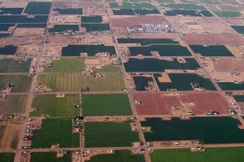 2-B'deki 410 bin hektarlık araziden 316 bin 811'i dikkate alınacak!