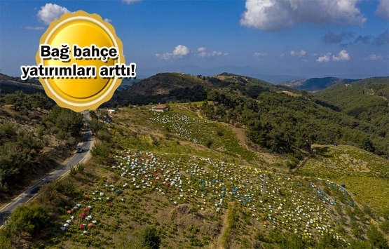 Deprem ve pandemi kırsaldaki arsalara ilgiyi artırdı!