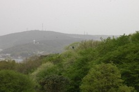 Bağlarbaşı ve Yeniköy Korusu ihaleye çıkarılıyor!