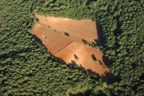  Antalya'da 2B'ye hücum: 9 bin kişi 2B arazisi almak için başvurdu!