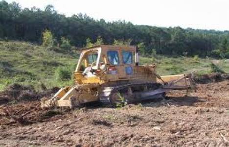 Endüstriyel ağaçlandırmada kamu-özel işbirliği geliyor!