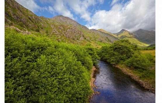 Bu adalar evden daha ucuz fiyata satılıyor!