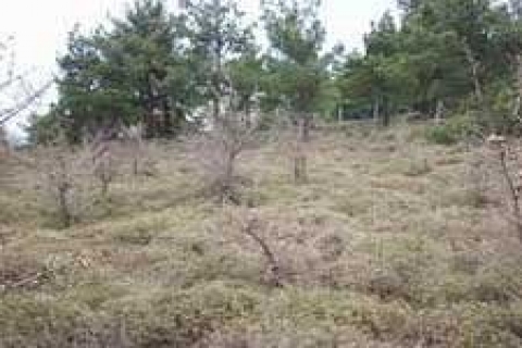 TOKİ 'nin çanakkale arsasına Makro İnşaat teklif verdi!