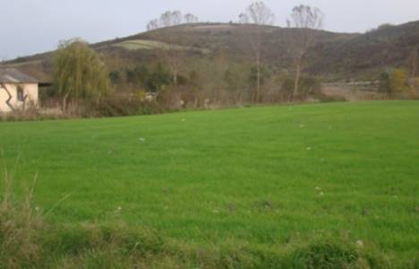 İzmir 13. İcra Müdürlüğü 1 milyon 175 bin liraya tarla satıyor! 