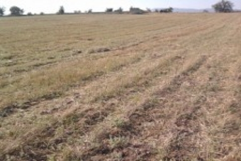 Sincan Satış Memurluğu 6 tarım arazisini satıyor!