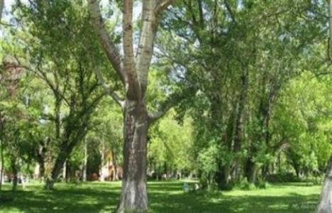 Ankara 1 Nolu Tabiat Varlıklarını Koruma Bölge Komisyonu