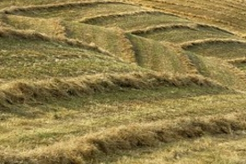 Pendik'te icradan 750 bin TL'ye satılık tarla!