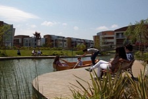 Sinpaş, hangi projesinde kaç konut sattı