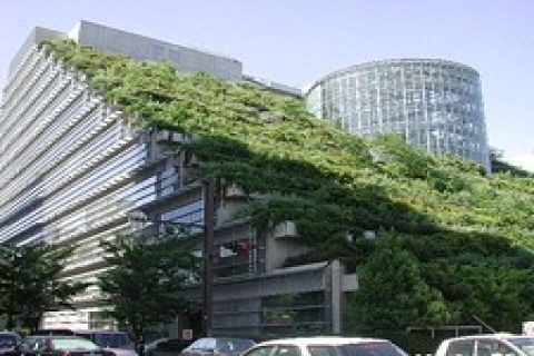 Ofisler yeşil bir çehreye bürünüyor!