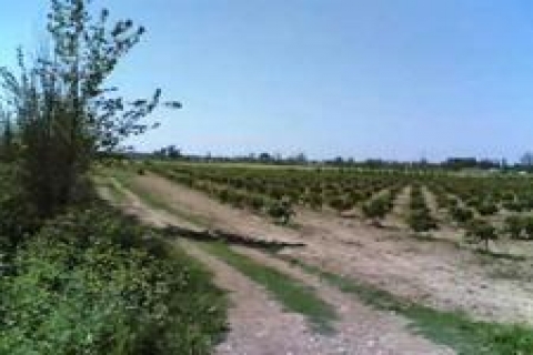 Çerkezköy'de konut alanında satılık 10 tarla