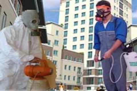 Sitelerdeki kene paniği ilaçlama sektörünü tetikledi