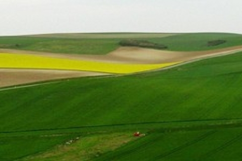 Kartal Emlak Müdürlüğü, Tuzla 'da tarla satıyor!