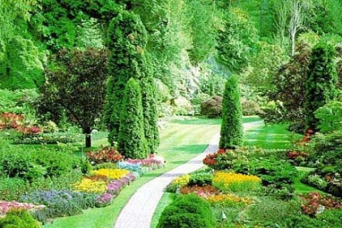 Tuzla Belediyesi 150 çeşit tıbbi bitkili park kuruyor!