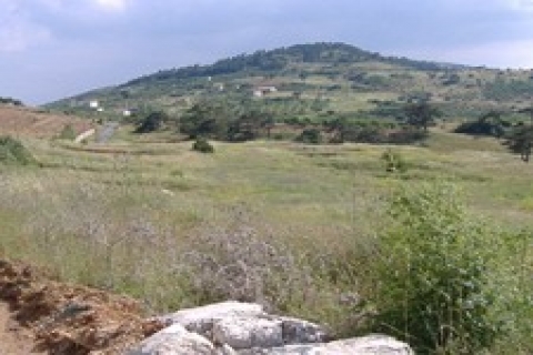 Ege-Koop, İzmir Spil'de 22 bin TL'ye arsa satıyor!