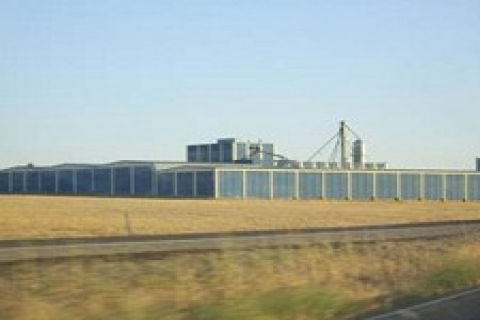 Diyarbakır'da icradan satılık konfeksiyon, örgü ve dokuma fabrikası!