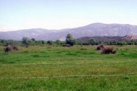 Yalova'da 1,2 milyon TL'ye icradan satılık 5 arsa!