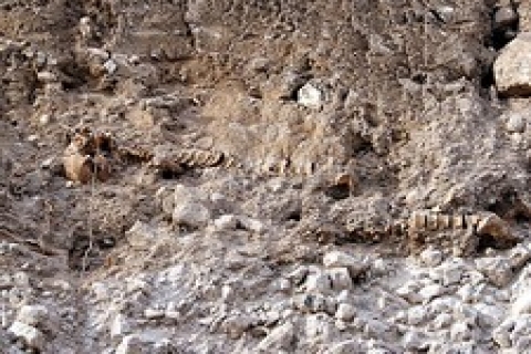 İnşaat kazısısında çıkan insan kemikleri Türk askerlerine ait!
