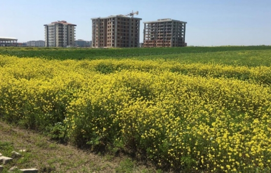 Pehlivanoğlu İnşaat Silivri projesi geliyor!