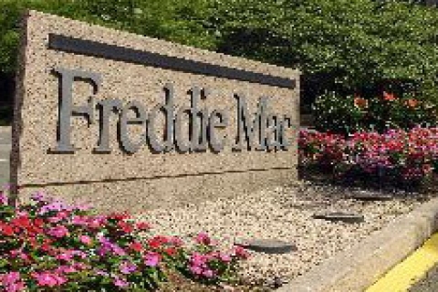 Freddie yardıma doymuyor