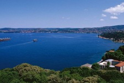 Beykoz Belediyesi'nden satılık 33 taşınmaz!