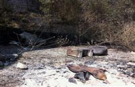  Bursa'da patlıcan közleme orman yangınıyla sonuçlandı!