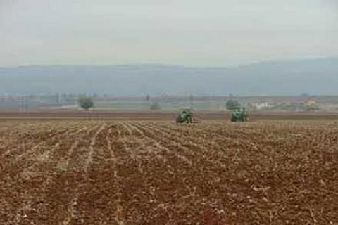 Sincan'da icradan 923 bin liraya satılık tarla!