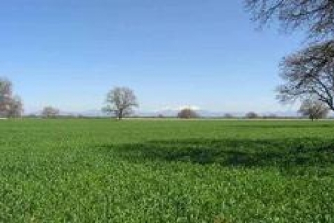 Kamu arazileri, Ankara'dan onay almadan satılabilecek!