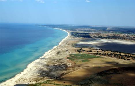 Saros Körfezi’nin denizel karasal çeşitliliği tespit ediliyor!