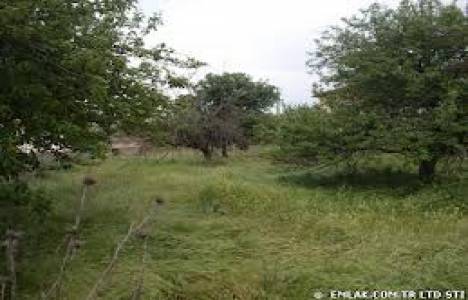  Nevşehir'in Gülşehir ilçesinde 9 bin metrekare arazi 2 milyon!