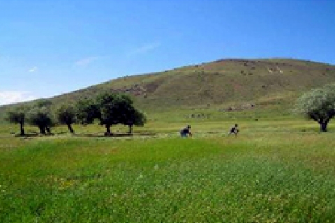 Ormancılar 2B Yasası'nın iptalini istiyor