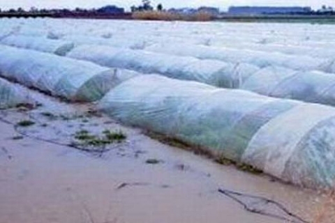 Hatay ve Söke'deki sellerde 200 bin dekardan fazla tarımsal alan su altında kaldı!