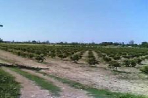 Salih Zeki Murzioğlu'ndan yatırımcılara çağrı!