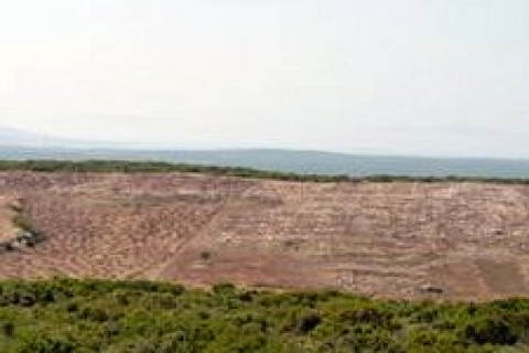 Nüsa Uğur: Hazine arazilerinde kiralama ve irtifak hakkı!