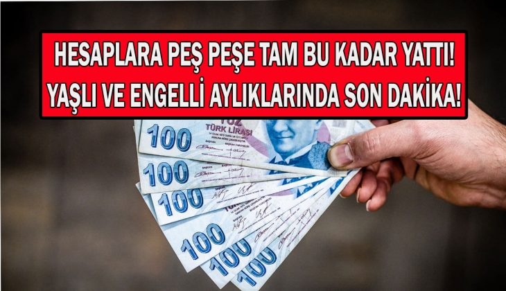 65 yaş aylığı ve engelli aylığında Nisan müjdesi! Tek tek hesaplara yatırıldı! Hemen hesaplarınızı kontrol edin!