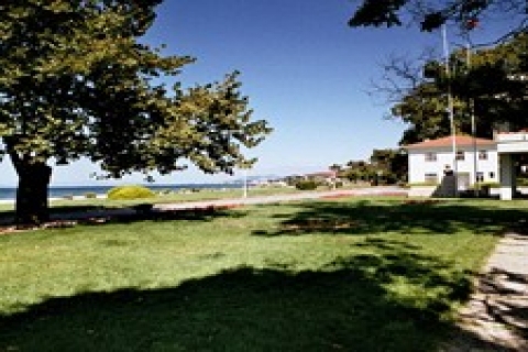 Yalova TİGEM sahili halka açıldı!