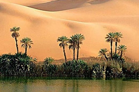 Afrika'nın ilk finans merkezi Tunis Financial Harbour'u Türkler yapacak!